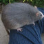 Large Rat