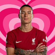 darwizzy
