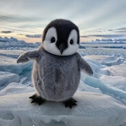 完美的菊花会有36褶子