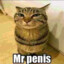 Mr. Penis