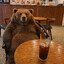 Bolshoy.