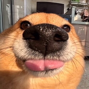 Agent Bonkers
