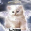 я шлюха