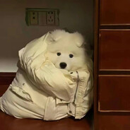 活着不玩不如死