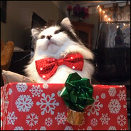XmasCatOfficial