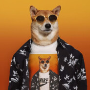 Styczxc