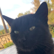 Positive Dota 2 Player :)