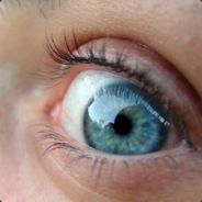 Imbros - steam id 76561197971030174