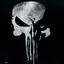 PUNISHER__/\__/\__/\________