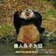 队友的噩梦k