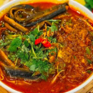 ĂN SÚP LƯƠN ĐI !!!!