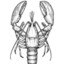 Lobschter