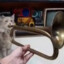 cat playing trumpet