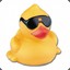 Duck With Shades