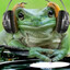 DJ жаба