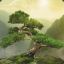 TreeBark