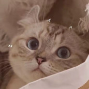 徒手捏爆小行星