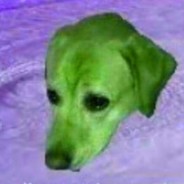 green what is ur problem