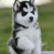 我的辅助只要他健康快乐就好