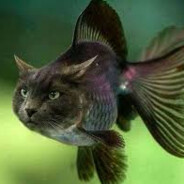 CAT FISH