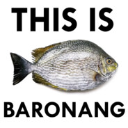 Baronang