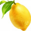 Dimon_Lemon