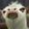 Munted Ferret Cow