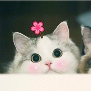 派大星被水母抓走了