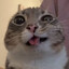 cherry's avatar
