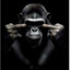 OnLive