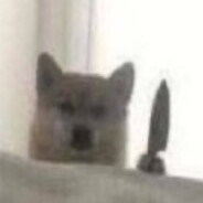 我会在你后面凝视你