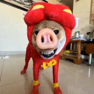 小乐