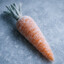 gefrierte Karotte