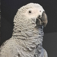 Chqkal - steam id 76561197985183956