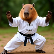 Kung Fu Capy - steam id 76561198045500620