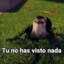 Jeyo