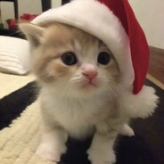 ttttt
