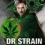 Dr Strain