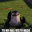 Tu no has visto nada