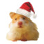 Humphrey