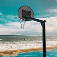 樱花树下诺未来