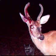 opaque indescribability