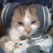 赢了稳赚输了不亏