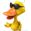 duck