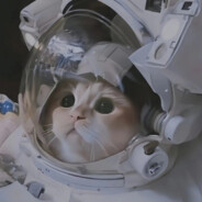 吃席？我随二百