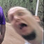 Brandorf