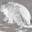 Northern_Gryphon