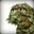 smoK