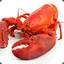 Frickin&#039; Lobster