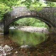 Water Under The Bridge